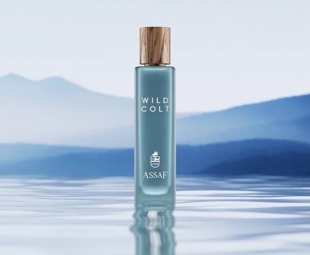 Wild Colt Assaf – وايلد كولت أستاف